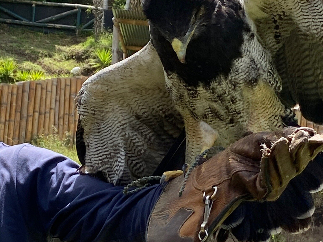 El Jardin Alado-Tumbaco必去景点