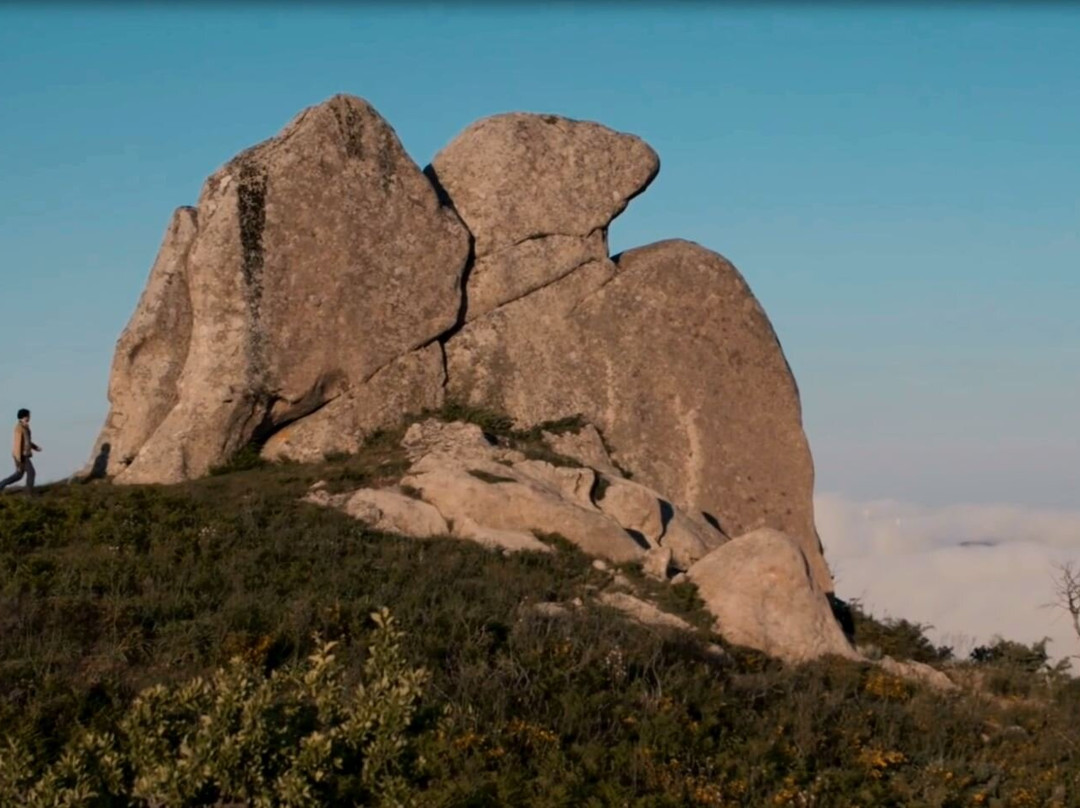 Megaliti dell’Argimusco景点图片
