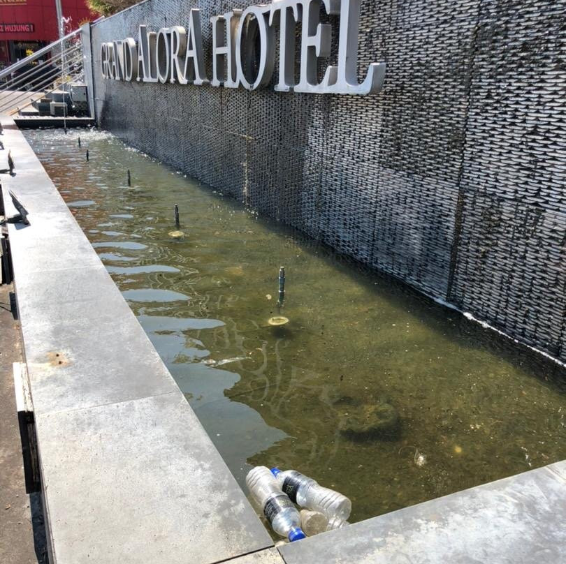 阿洛拉大酒店主图