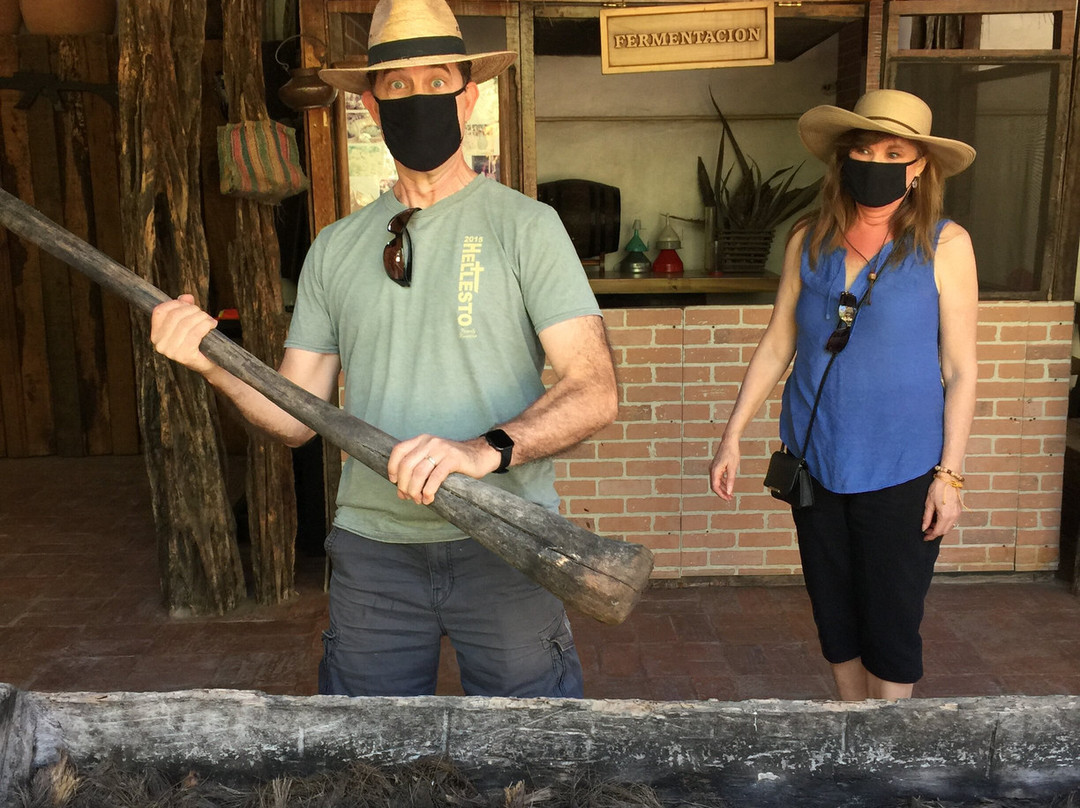 Akali Experiences-La Cruz de Huanacaxtle必去景点