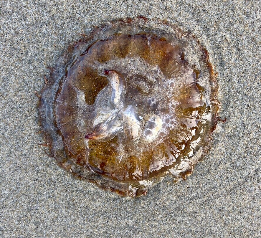 Overleaf Lodge & Spa主图