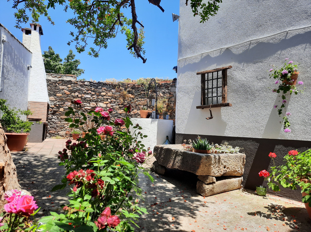 El Escudo De Calatrava主图