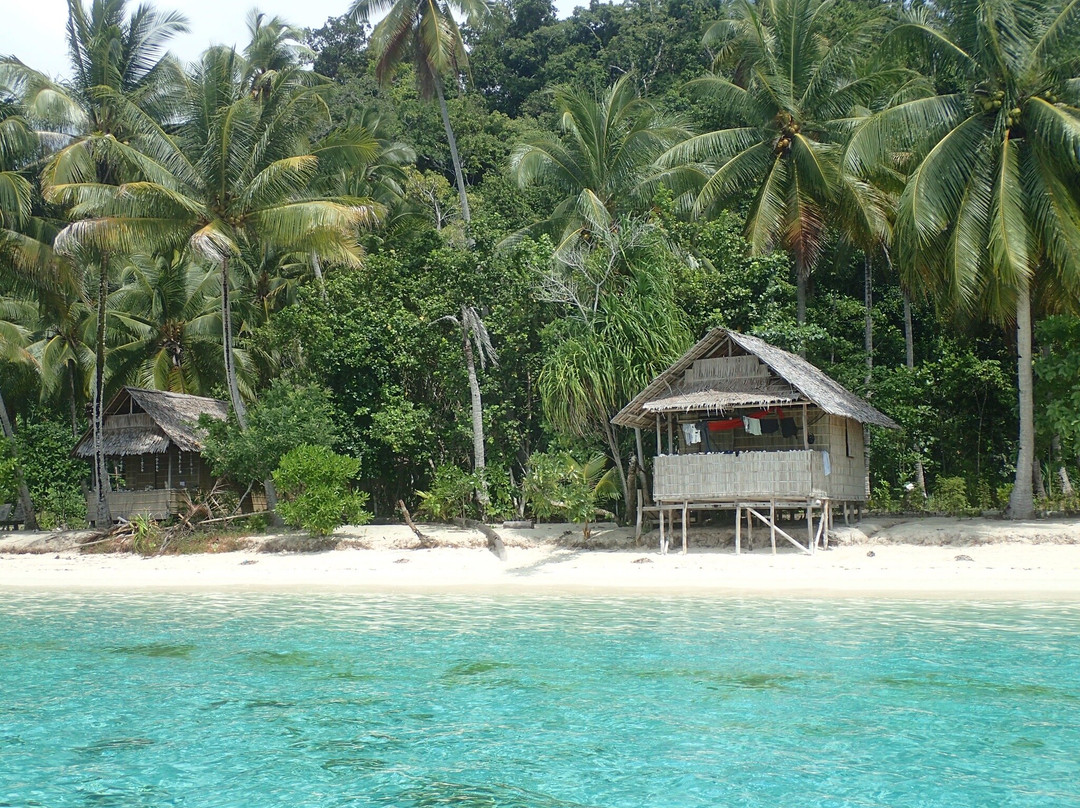 Travel Papua景点图片