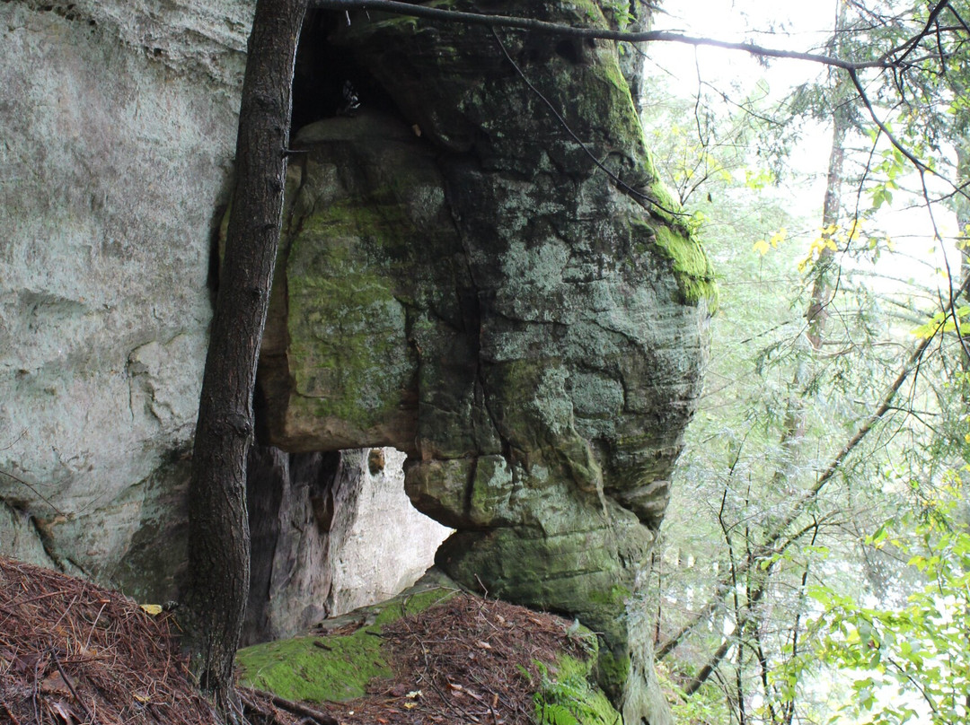 Hemlock County Park景点图片