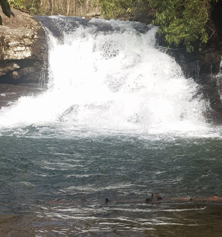 Hemlock Falls Trail-Clarkesville必去景点