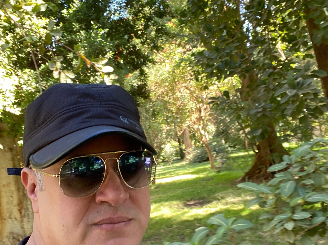 Kitchner's Island-亚斯文必去景点