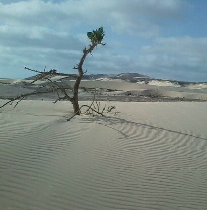 Deserto de Viana景点图片