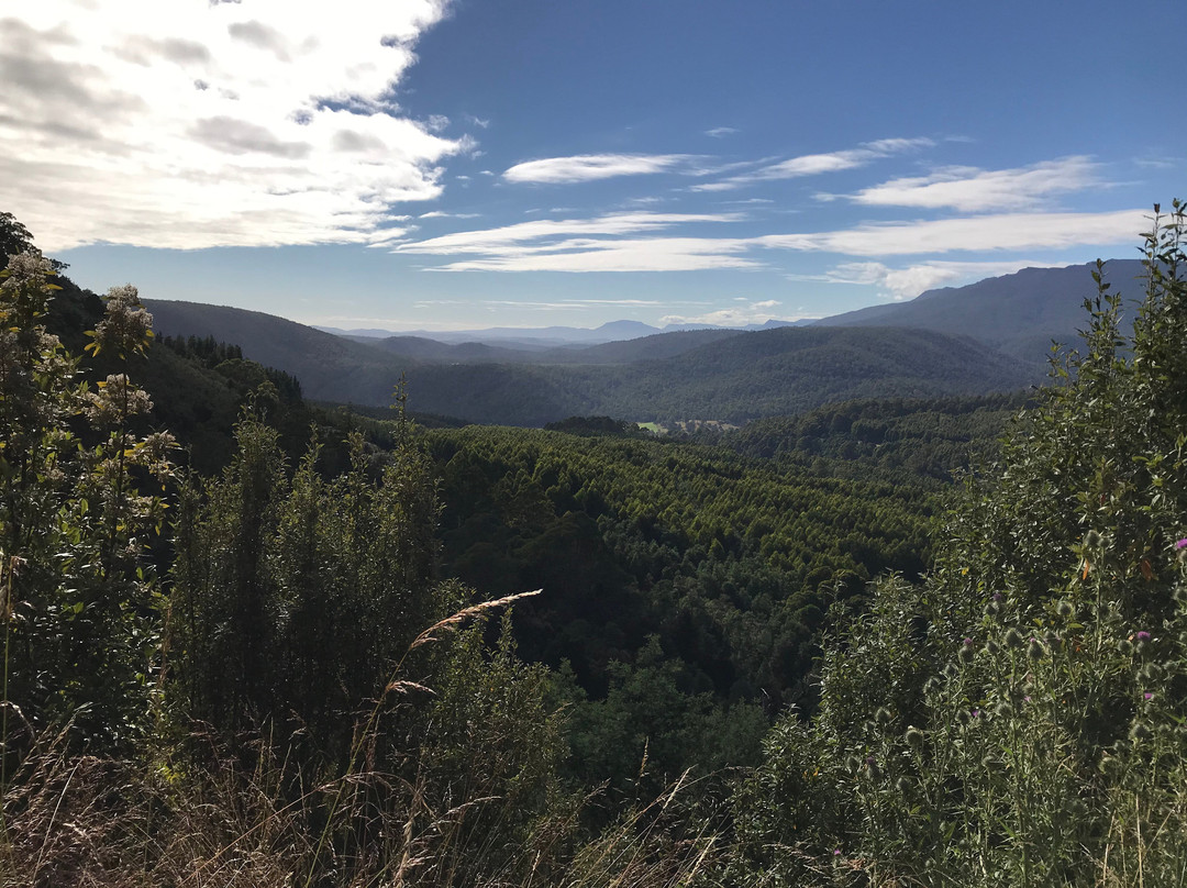 Mersey Valley Drivers Road Lookout-Gowrie Park必去景点