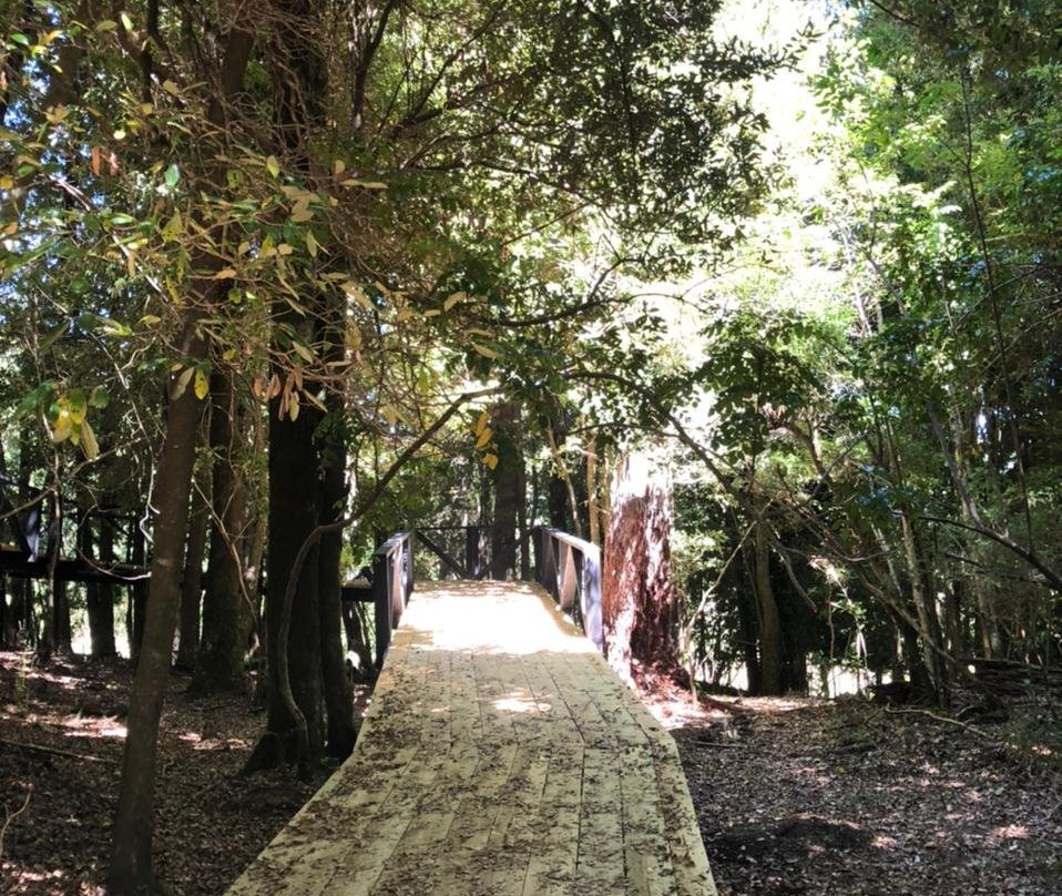 Parque Neltume - Salto Huilo Huilo-耐尔杜美必去景点