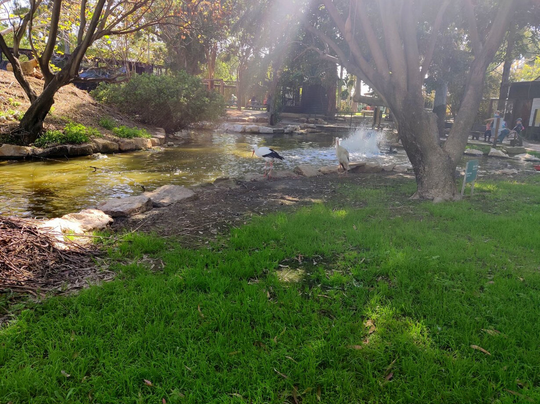 Gan Garoo Zoo-Nir David必去景点