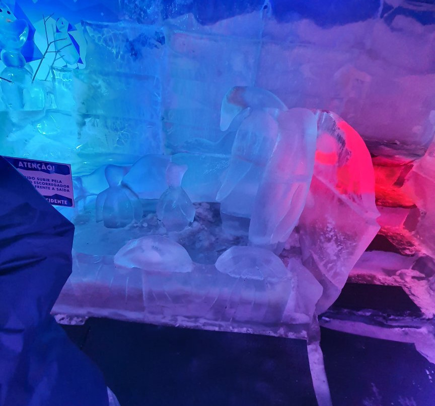 Iceland - Bar de Gelo-坎普斯－杜若尔当必去景点