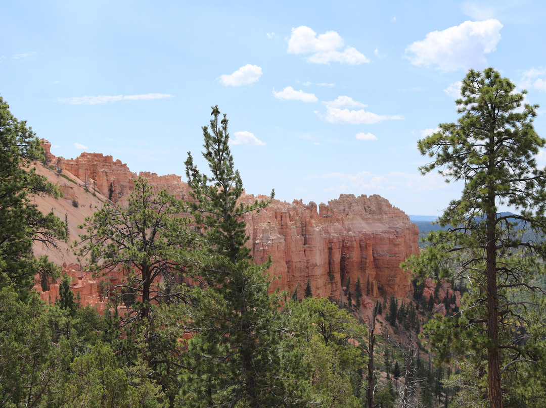 Swamp Canyon-布莱斯峡谷国家公园必去景点