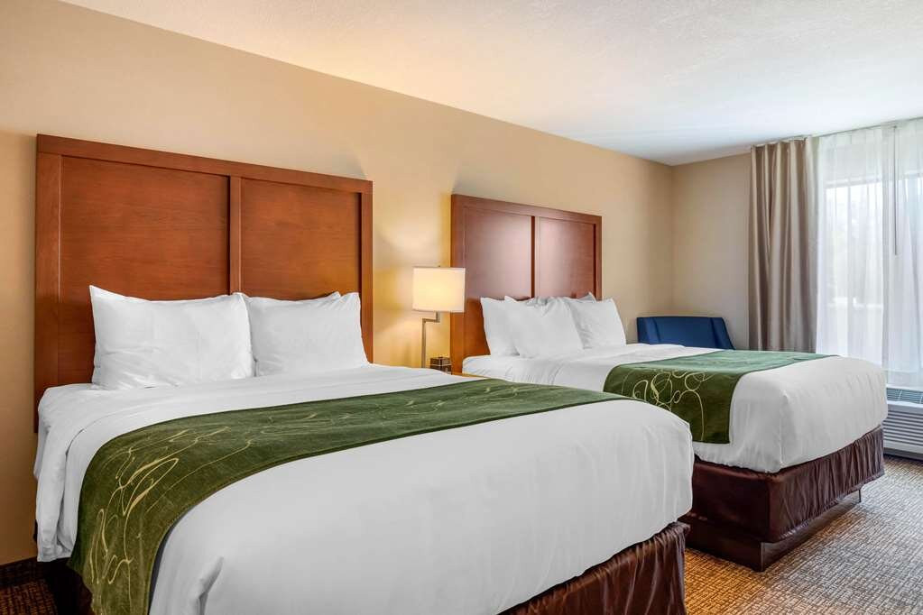 Comfort Inn & Suites Schenectady - Scotia主图