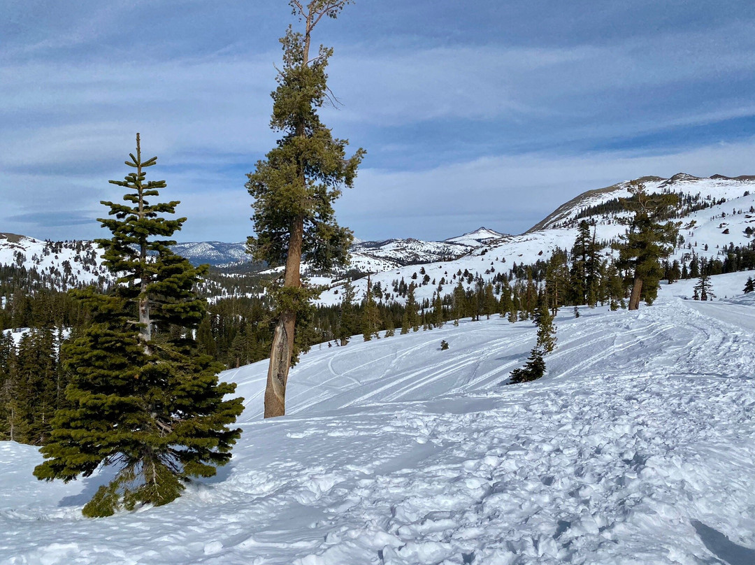 Lake Tahoe Adventures景点图片