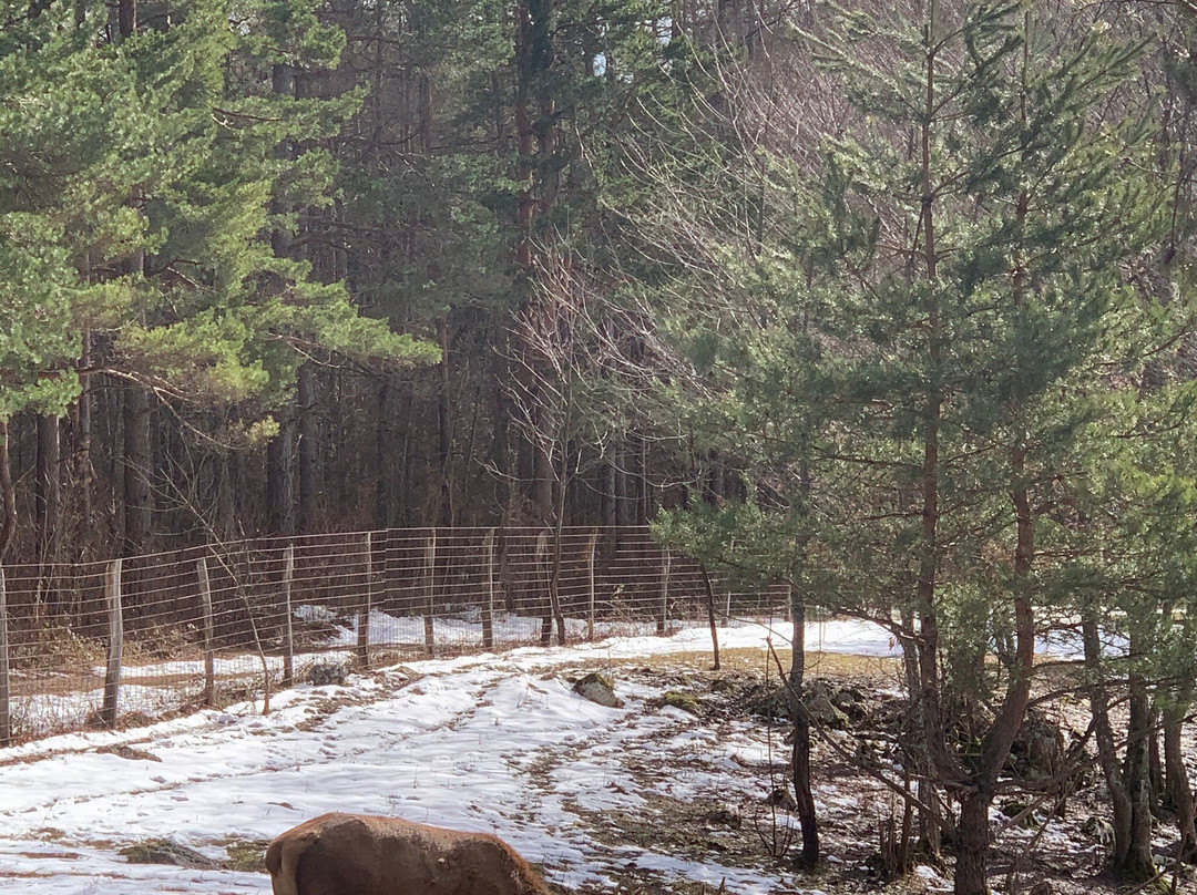 Ranch Deer Valley-Dreznik Grad必去景点