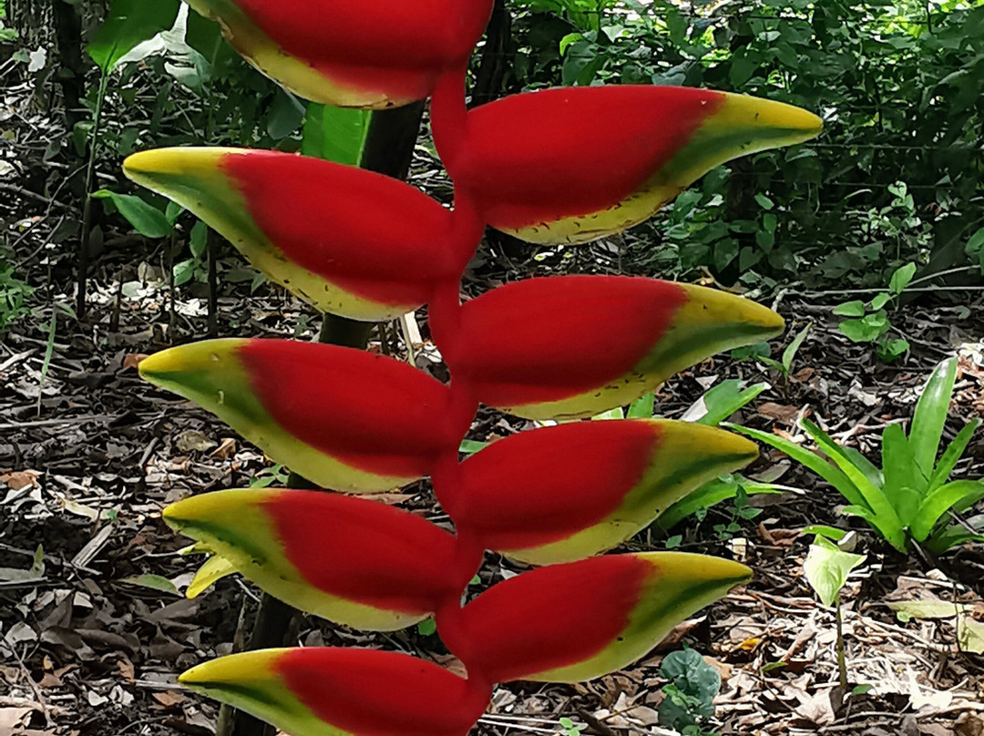 Taino Valley Tropical Park-Tubagua必去景点