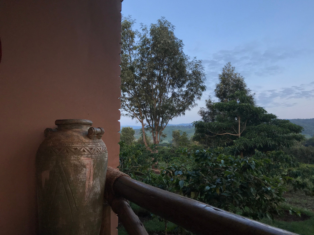 Highview Hotel主图