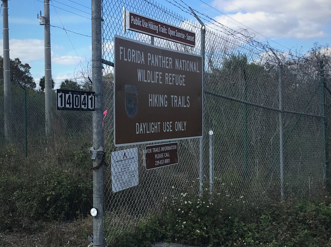 美洲狮国家野生动物保护区-Immokalee必去景点