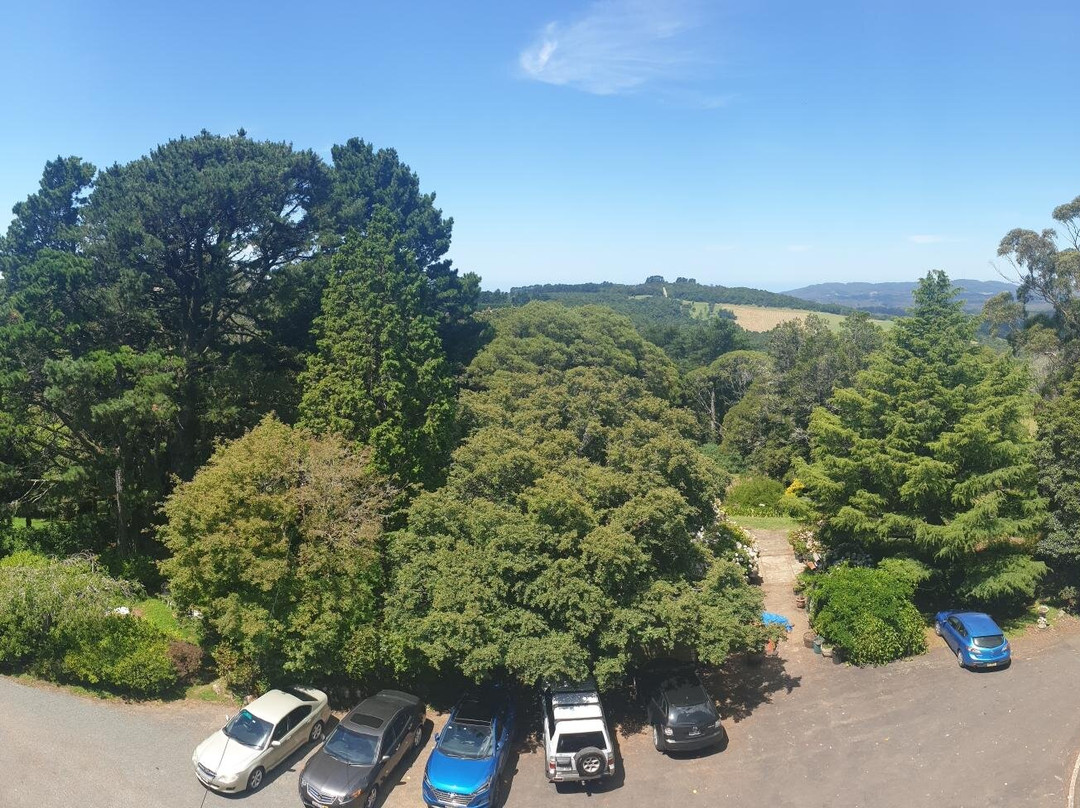 The Robertson Hotel主图