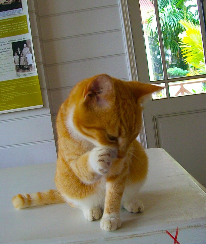 La Maison Celieres-努美阿必去景点