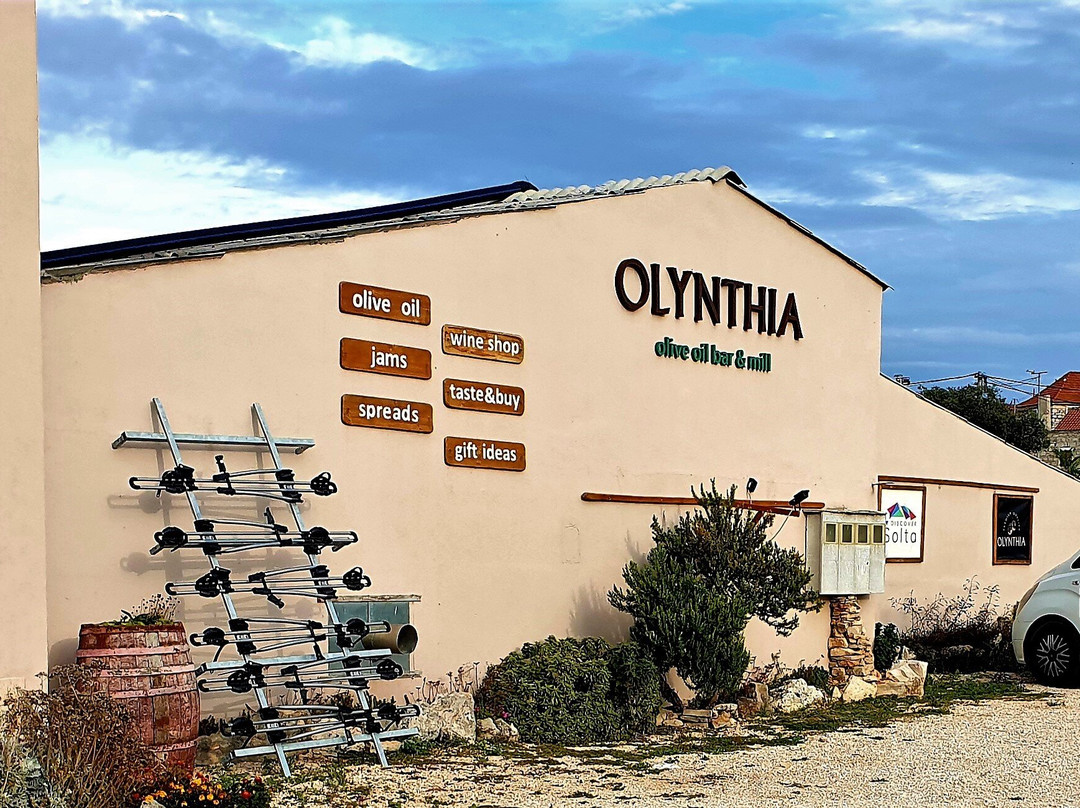 Olynthia Natura景点图片