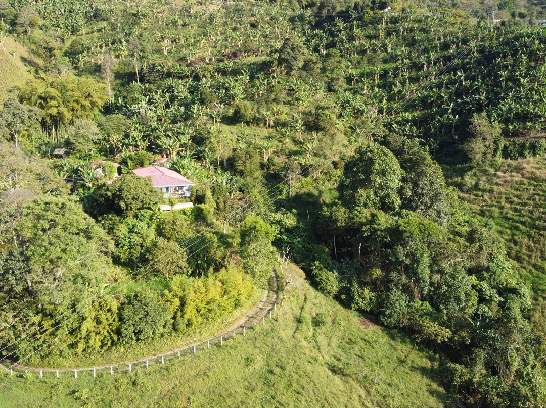 La Union Coffee Farm - Coffee & Fruits Tours景点图片