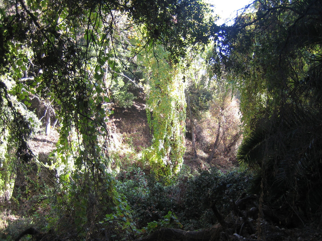 Naturalist For You-Silverado必去景点