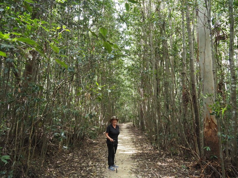 Washpool National Park景点图片