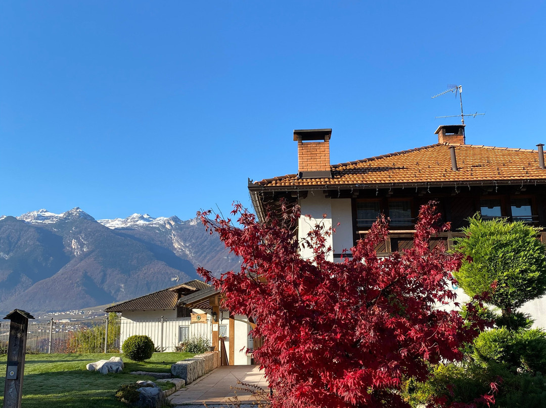 Agriturismo Golden Pause主图