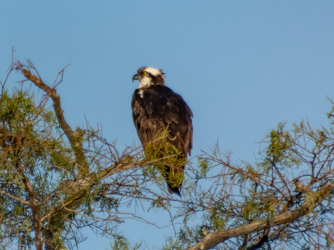 Mystique Tours Caddo - Private Tours-Karnack必去景点