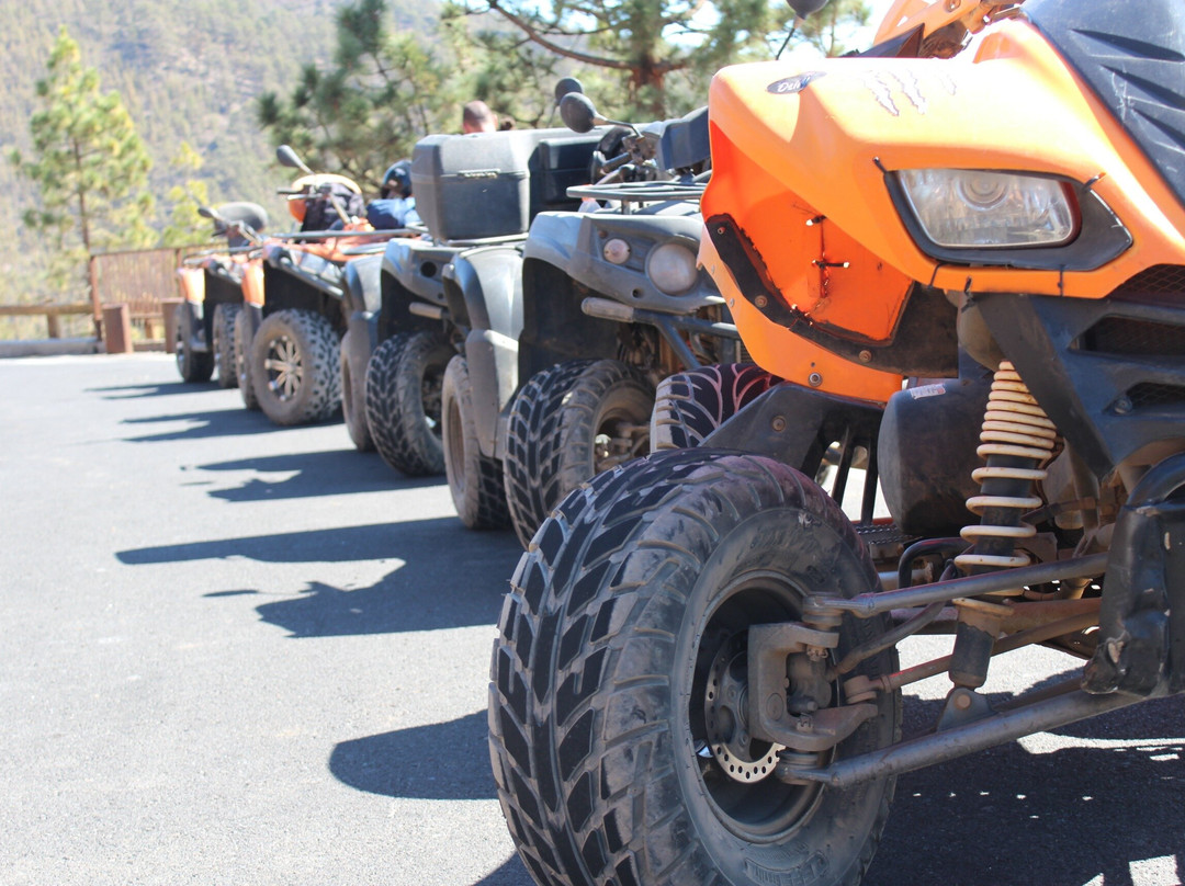 Quad Squad Tenerife-阿罗纳必去景点