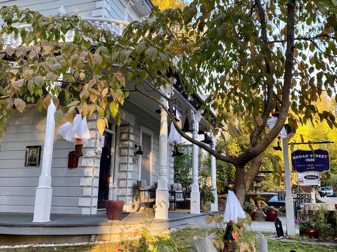 布洛德大街旅馆主图