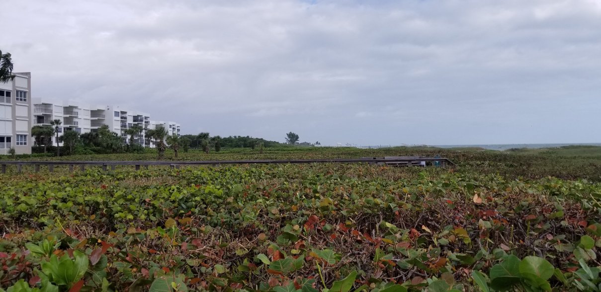 维洛海滩汽车旅馆-浴室