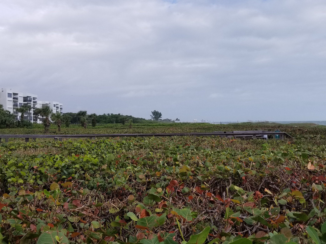 维洛海滩汽车旅馆主图