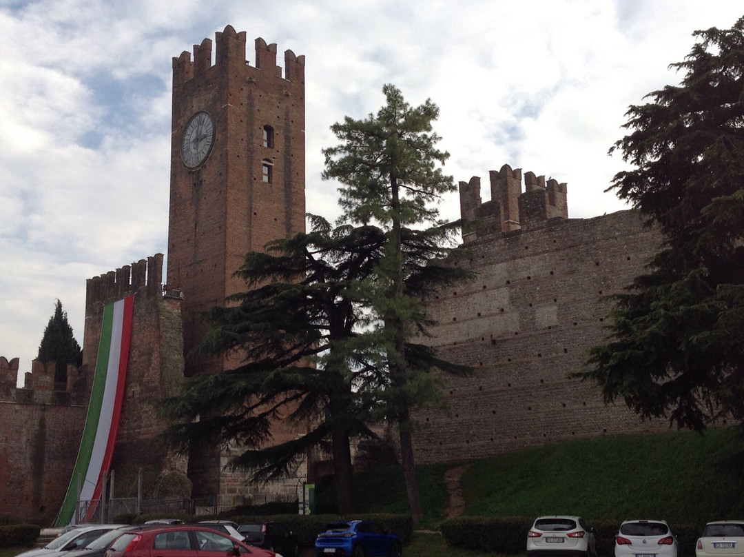 Castello Scaligero di Villafranca景点图片