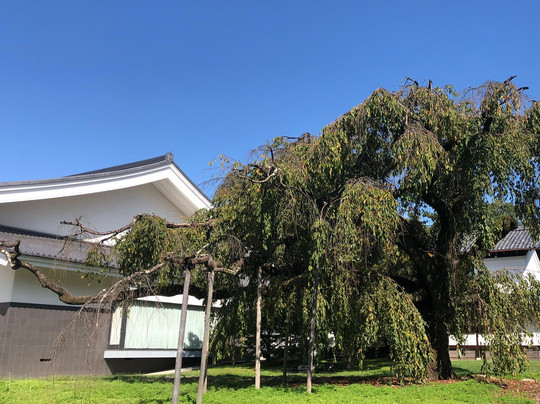 Daigo-ji Temple Reihokan-京都市必去景点