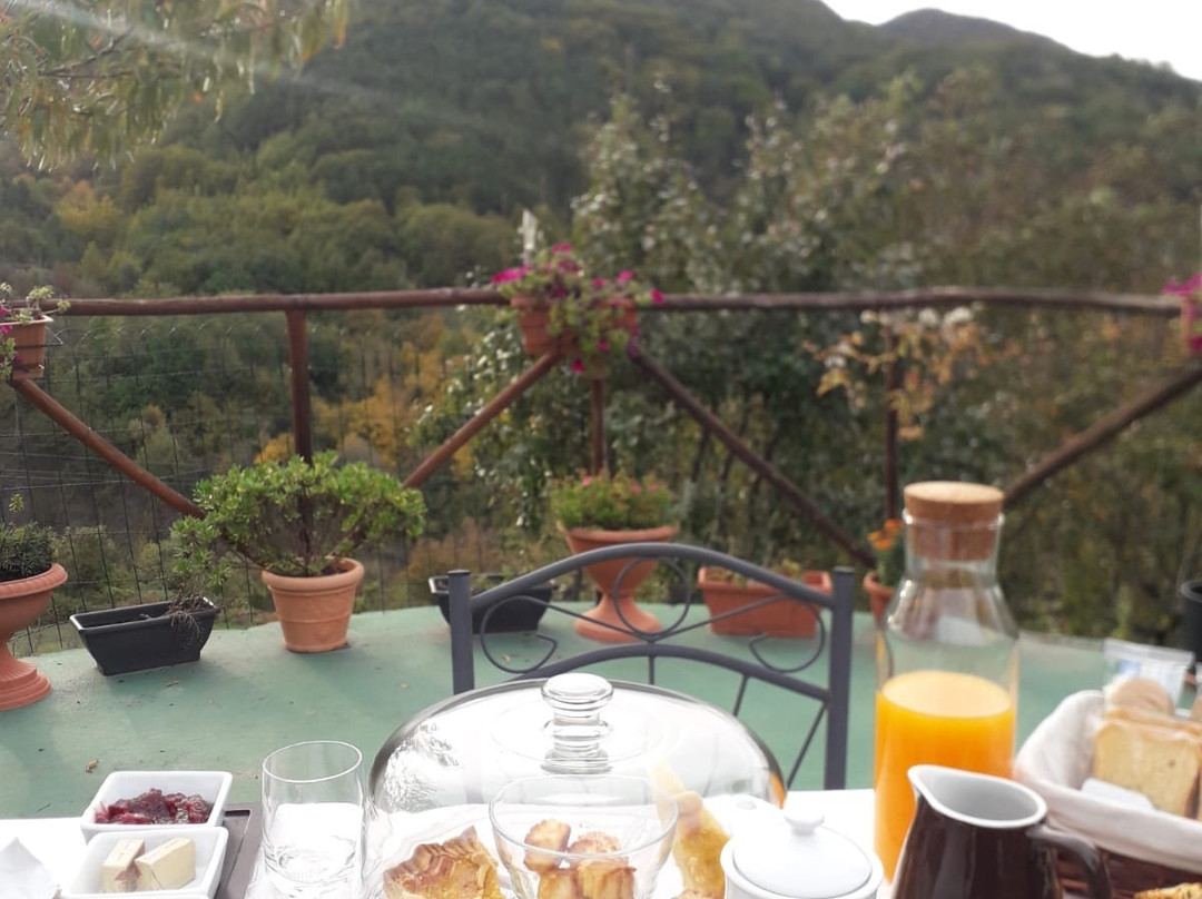 伊尔吉罗B&B酒店主图