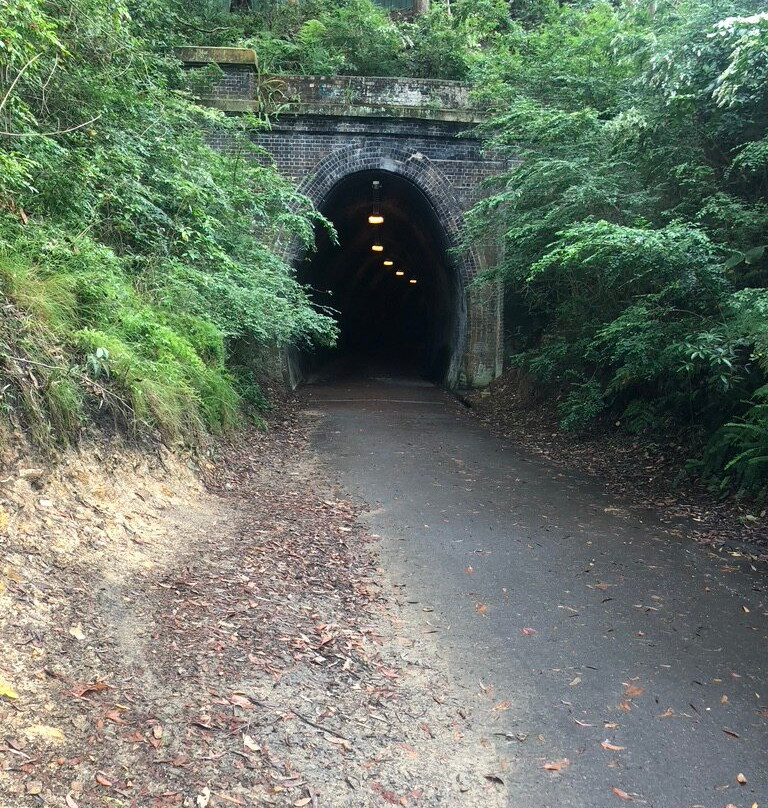 Fernleigh Track-纽卡斯尔必去景点