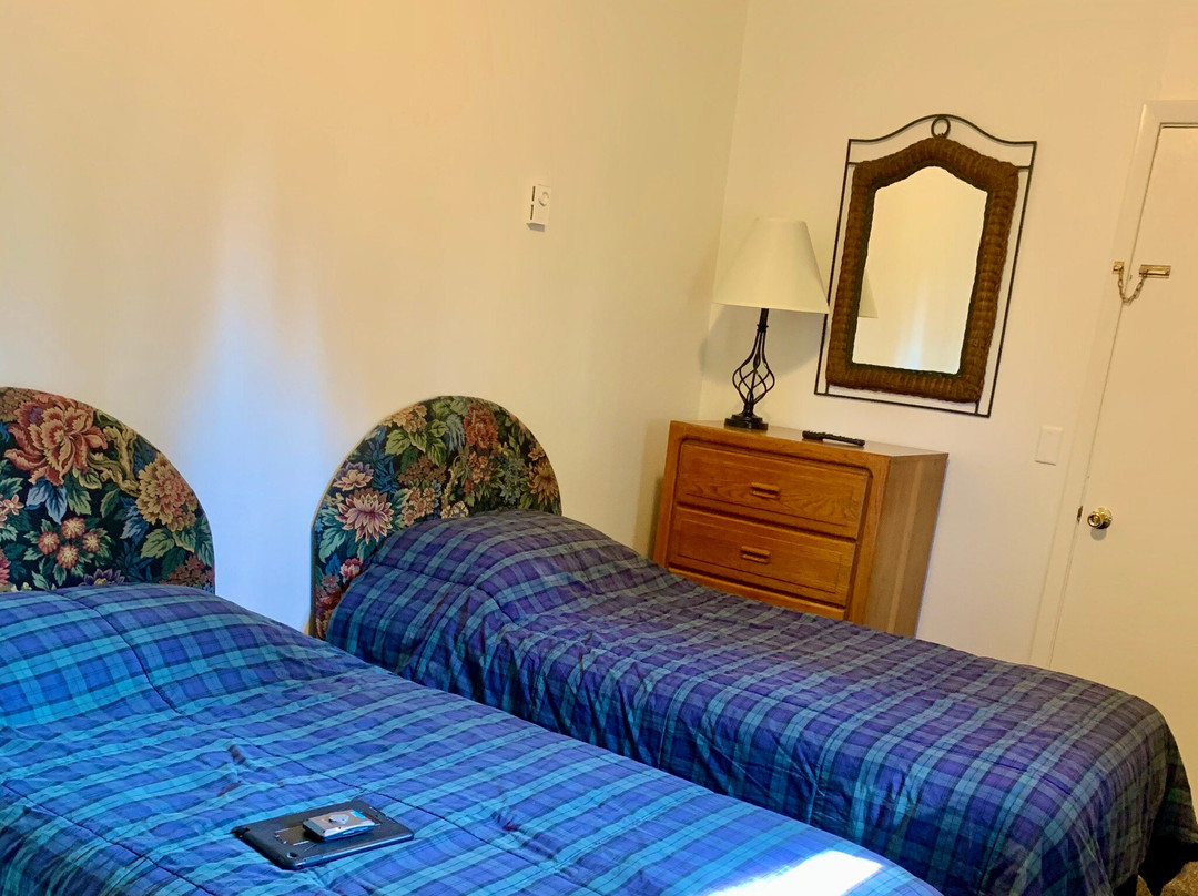 Wind in the Pines主图