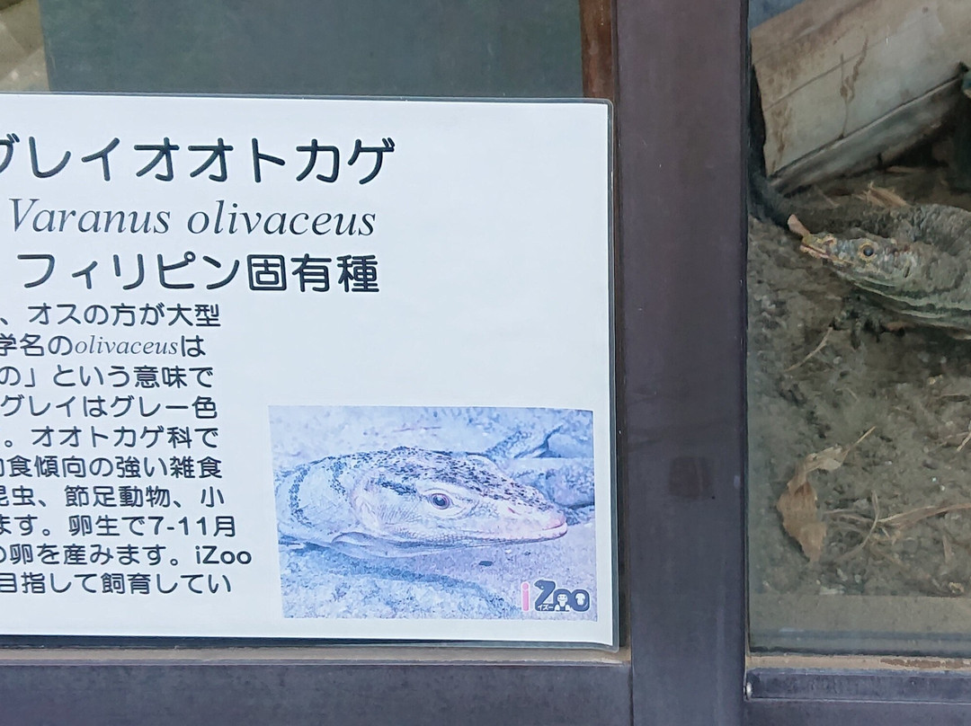 iZoo-河津町必去景点