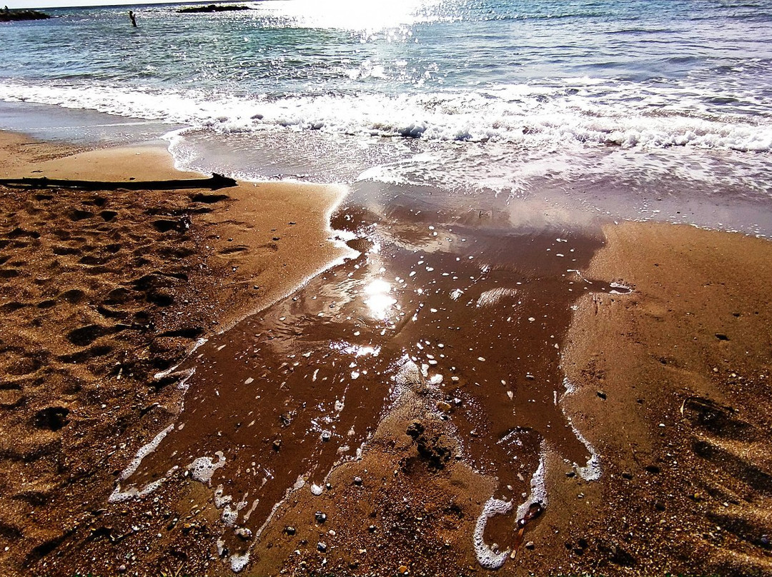 Spiaggia di Santa Severa-Santa Severa必去景点