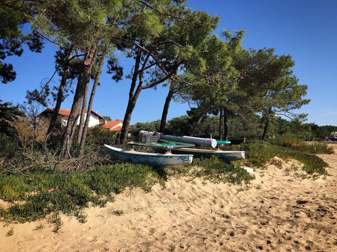 Sentier de Decouverte L'Etang de la Mailloueyre景点图片