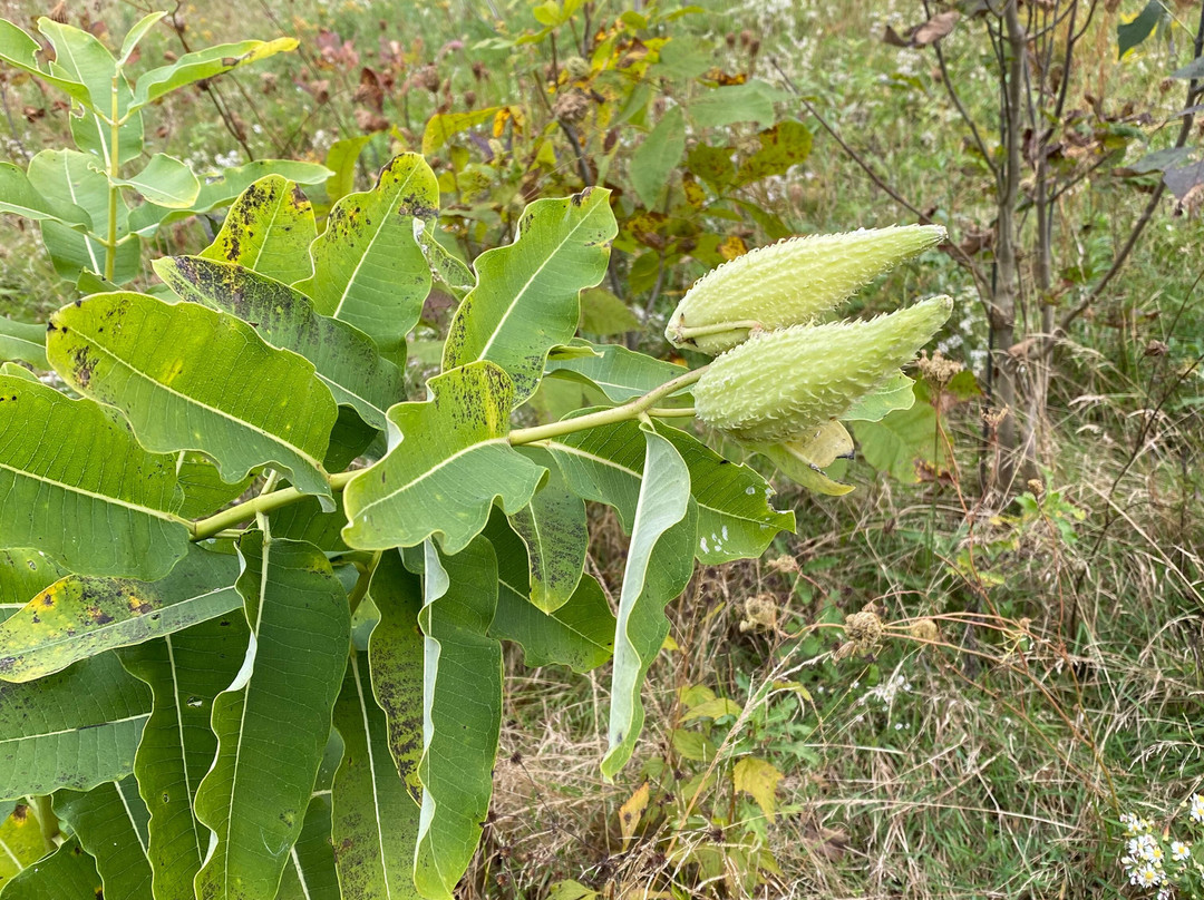 Orchard Hills Park-Chesterland必去景点