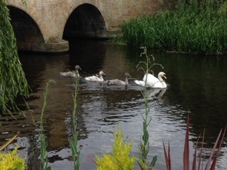 Wensum Lodge Hotel-浴室