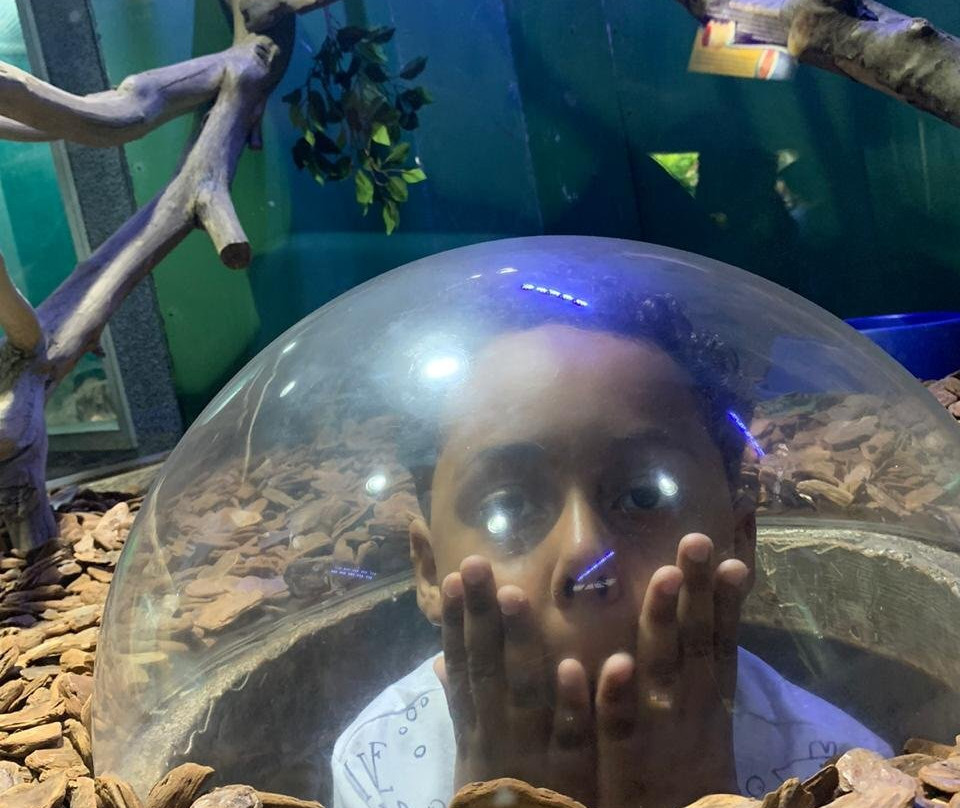 Acqua Mundo-瓜鲁雅必去景点