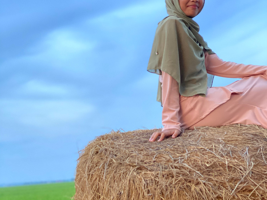 Sekinchan Paddy Field-适耕庄必去景点