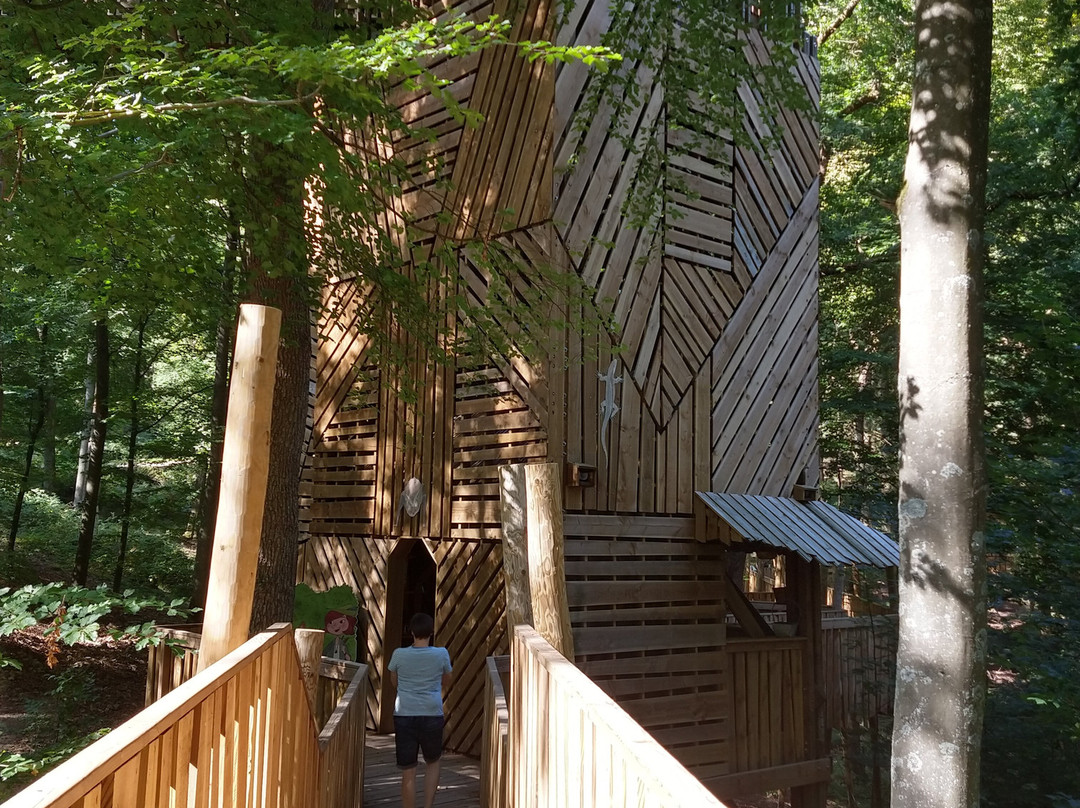 Parc Forestier Récréatif Chlorophylle景点图片