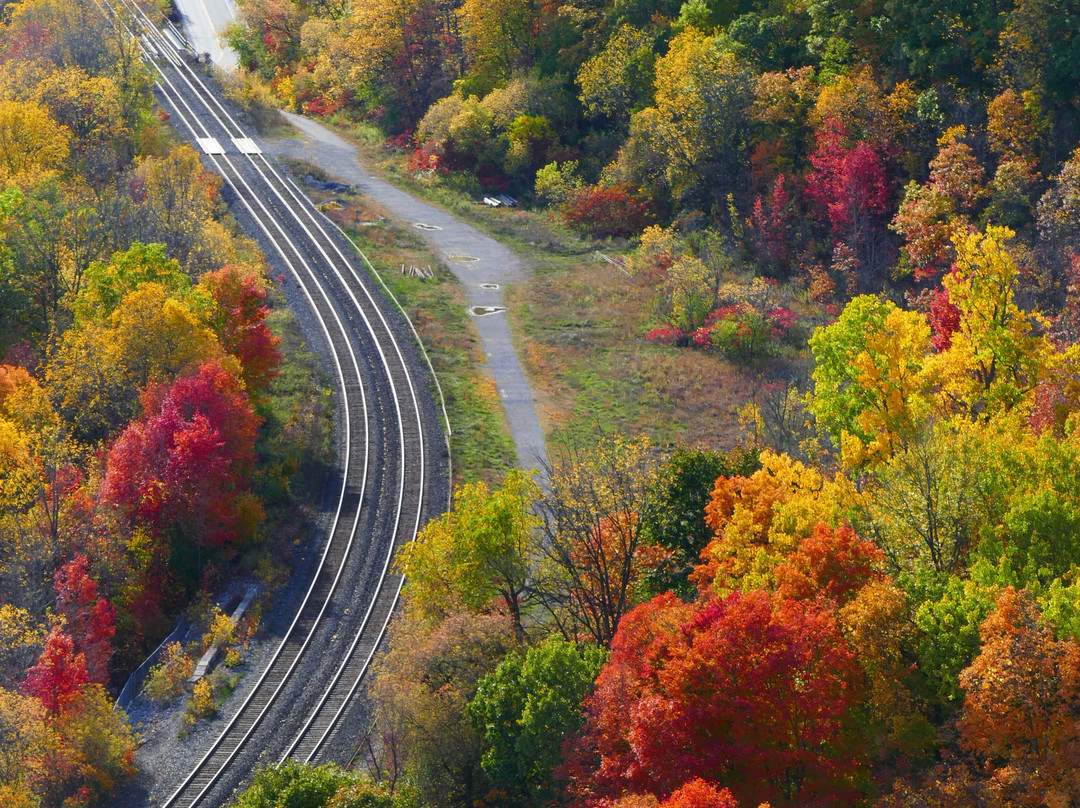 Tews Falls-邓达斯必去景点