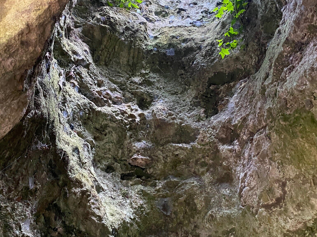 Engelbrecht Cave景点图片