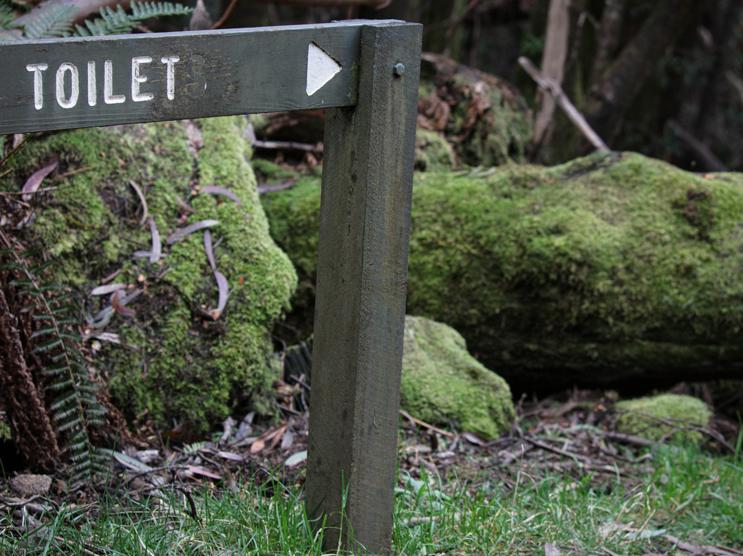Mushroom Rocks-Erica必去景点